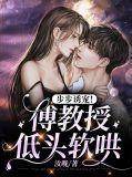 傅教授和他的软萌