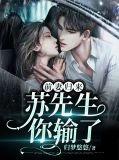 免费阅读前妻归来