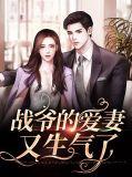 战爷的爱妻又生气了漫画