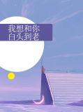 我想和你白头到老珍惜爱的每分每秒是什么歌