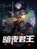 暗夜君王主角