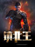 镇北王是什么电视剧