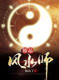 极品风水师陈易