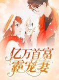 亿万富翁宠妻狂魔