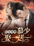 错爱成瘾慕少别来无恙慕少霆温言