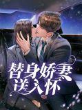 替身娇妻要离婚免费阅读