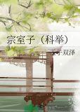 宗室子科举TXT