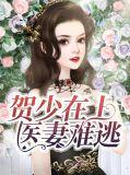 贺少钟情小医妻