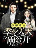 隐婚甜妻不好撩季念