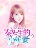 秦先生的宠妻日常免费阅读无弹窗