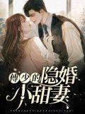 傅少的隐婚甜宠