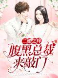 二婚青春腹黑总裁狠狠爱