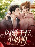 知乎闪婚小奶狗