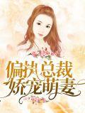 偏执总裁的娇妻