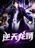 逆天龙婿全集观看