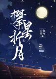 攀星折月TXT百度