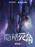 隐秘死角无防盗无错字
