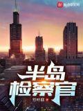 半岛检察官开局拯救雪莉