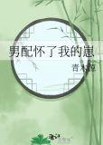 男配怀了我的崽青木源作者青木源著