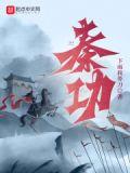 秦功全文免费