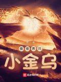 偷偷养只小金乌简介