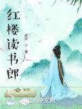 红楼读书郎百度