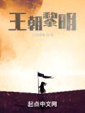 王朝黎明世界地图