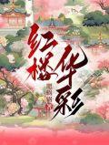 红楼华彩  笔趣阁