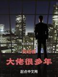 我当大佬这些年