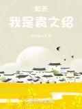 知否知否袁文绍历史人物介绍