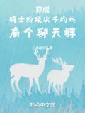 穿越成骑士网