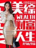 美国财富人生 顶点