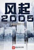 风起2005笔趣阁无弹窗最新章节