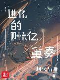进化的四十六亿重奏境界划分
