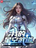我的星空武道全本TXT