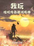 我玩挂机传奇游戏成神 在线阅读