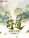 苟道从称号开始 冰火阑珊