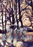 四合院家有三小只全本免费阅读