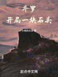 斗罗开局一块石头最新