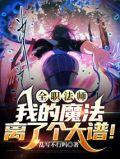 全职法师我的魔法离了个大谱笔趣阁