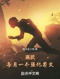 高武等级设定