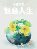 四合院之惬意人生李想免费阅读笔趣阁林天