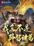 我真不是卧龙诸葛