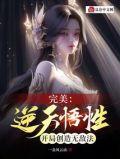 完美无敌系统