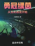 勇冠绿茵从瓦伦西亚开始TXT