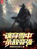 魂穿雪中杀敌变强 李奉先字孔明