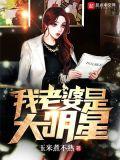 我老婆是大明星(改编)林凡