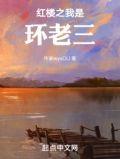 红楼梦之穿越贾环