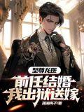 前任 至尊宝