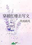 穿越红楼去写文128章